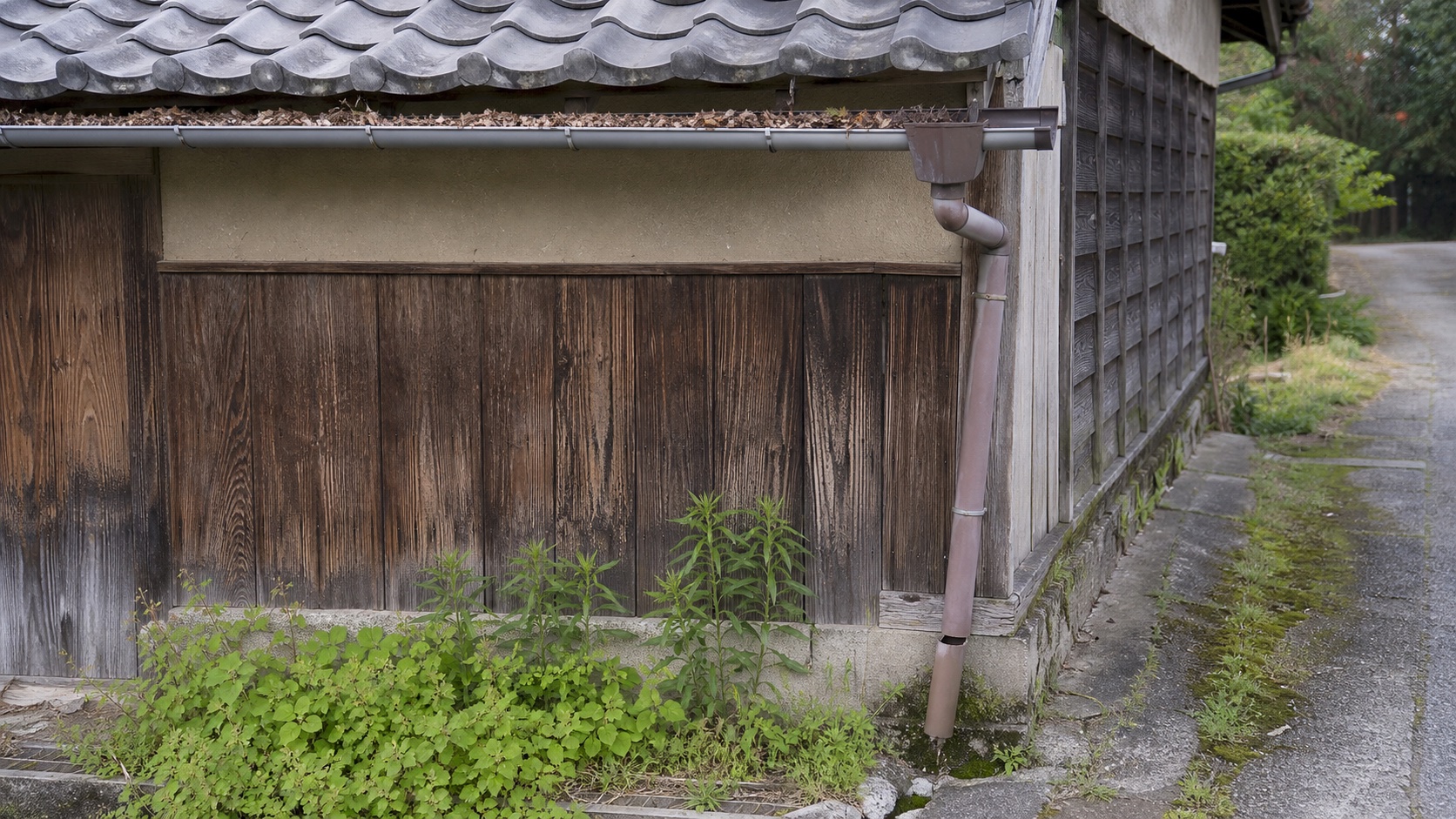 空き家になった実家の雨どいや外壁に出る小さな傷み