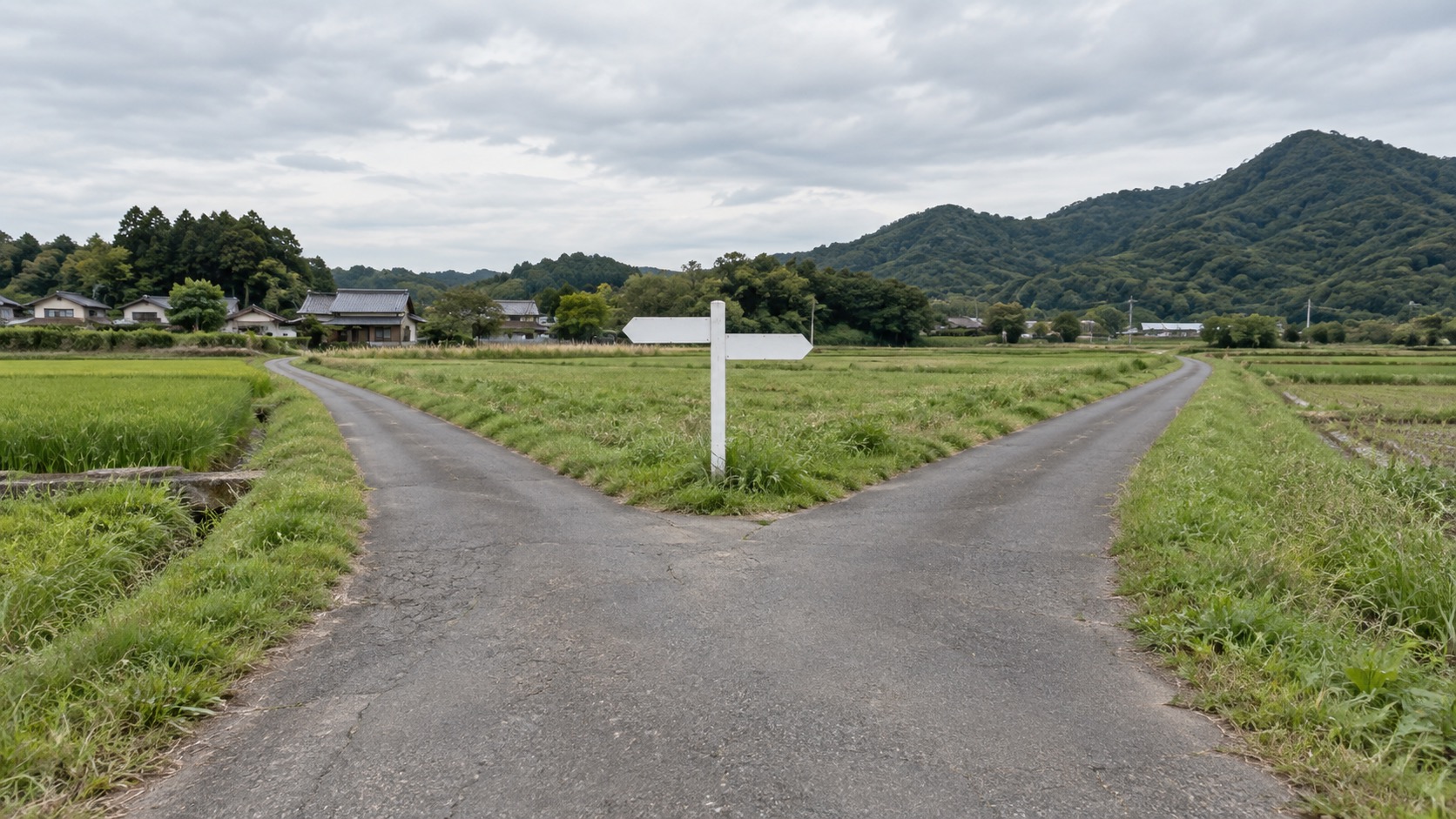 田舎の道の分かれ道