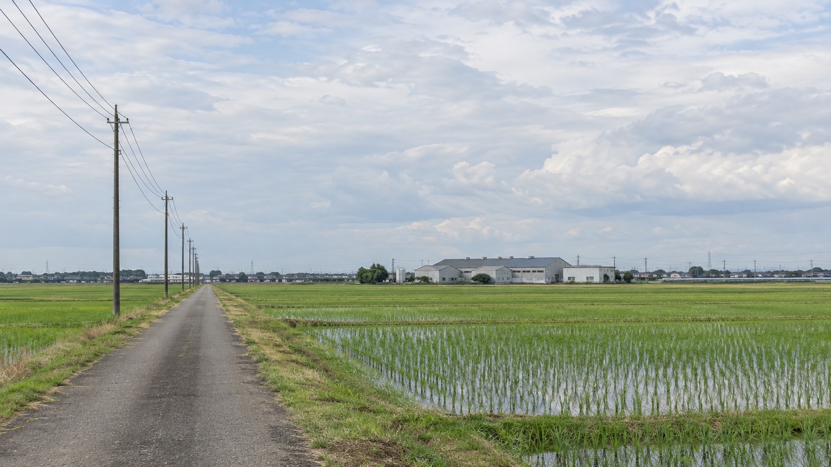 田んぼの向こうに小さく見える地方の工場